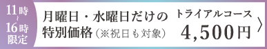 平日限定価格