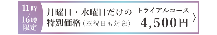 平日限定価格