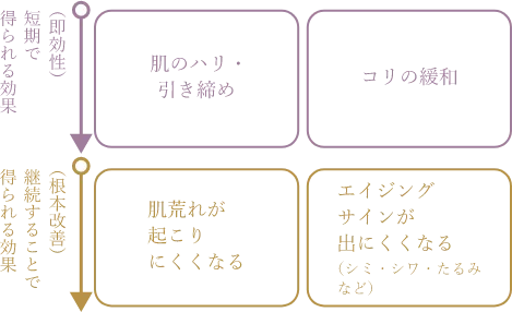 施術効果の種類の図