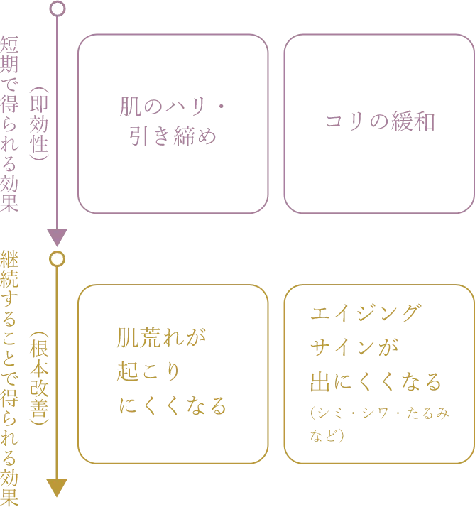 施術効果の種類の図