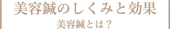 美容鍼のしくみと効果 美容鍼とは？